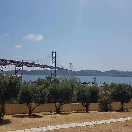 Pedaco De *